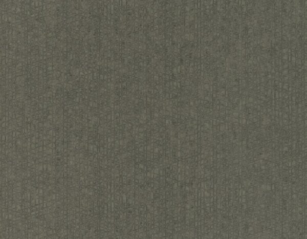 75818