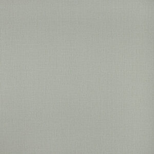 H2991005