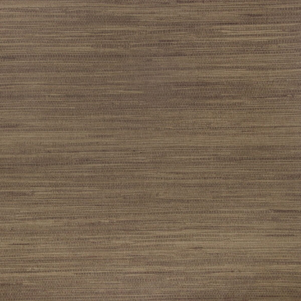 G1709-6