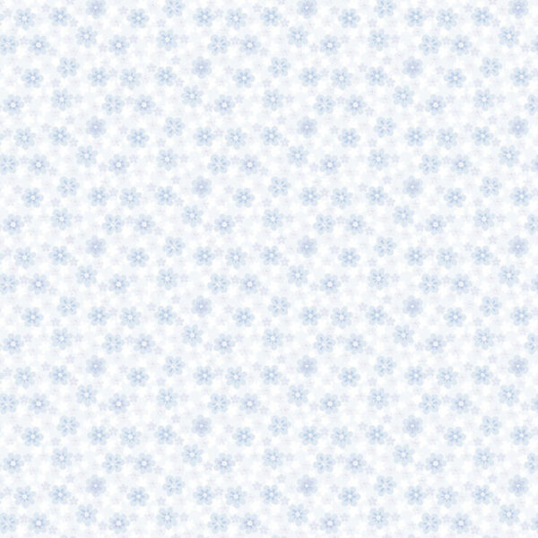 6251