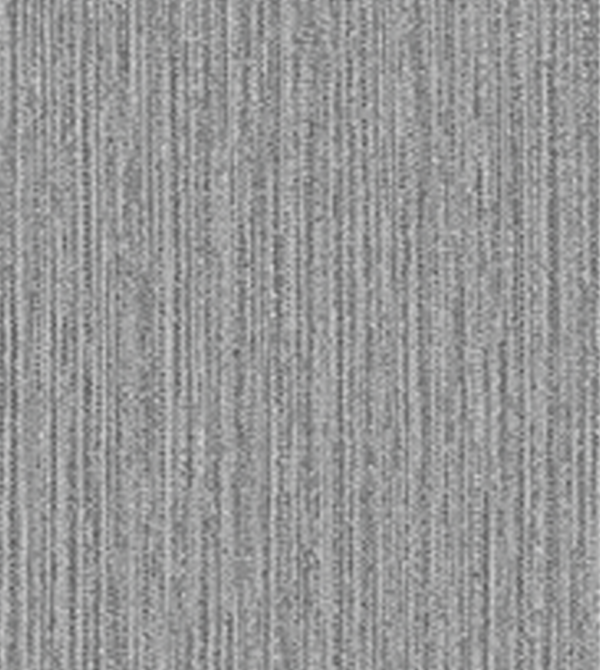 HLV-06