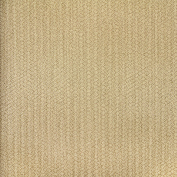 PA131402
