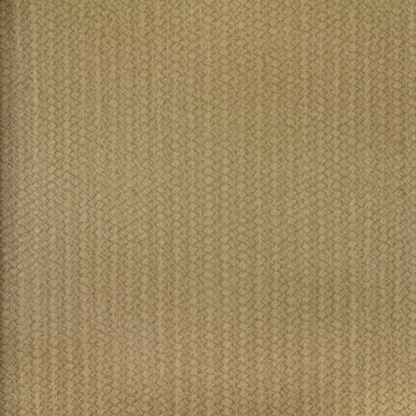 PA131405