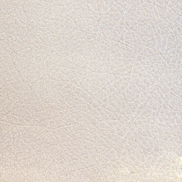 PA131407